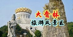 秋香黄片中国浙江-绍兴大香林旅游风景区